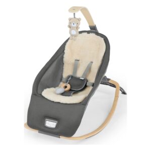 KIDS II INGENUITY LEZALJKA EVERY SEASON™ - WESLEY 16855 0-30m (MAX 18kg)